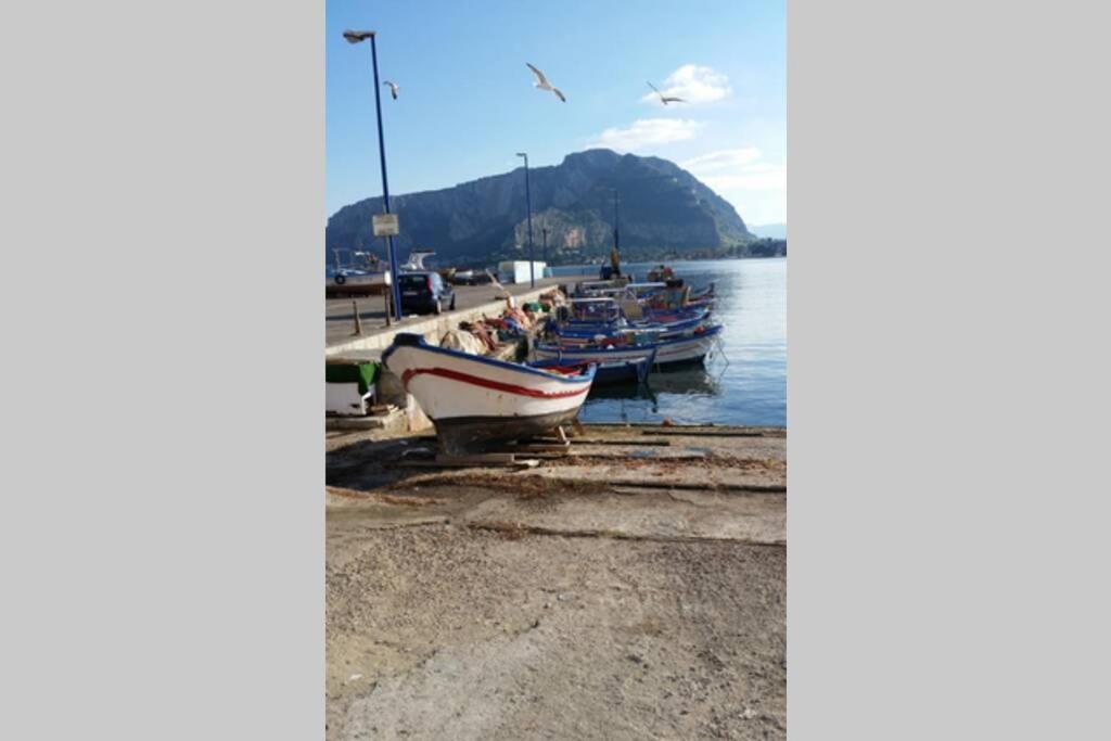 Ferienhaus Calypso's Shell Palermo