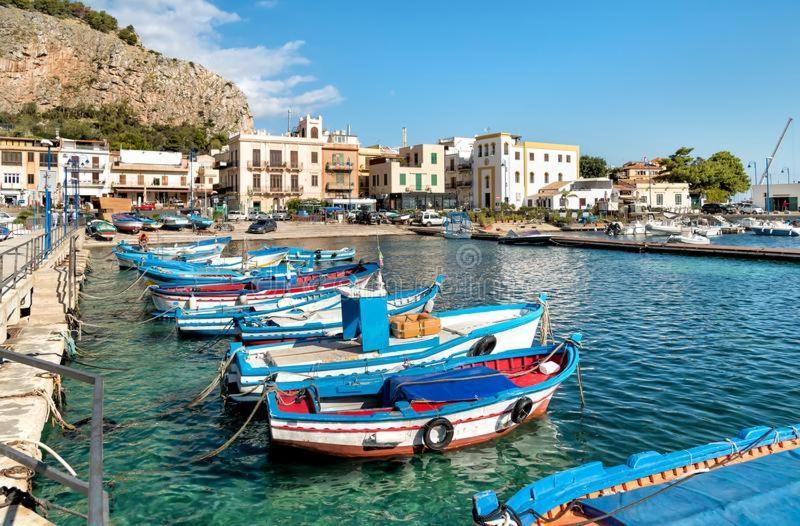 Calypso's Shell Palermo